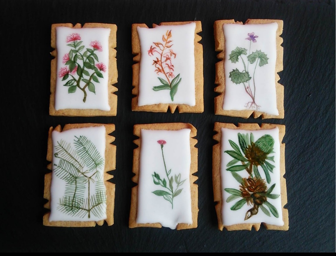 植物スケッチクッキー